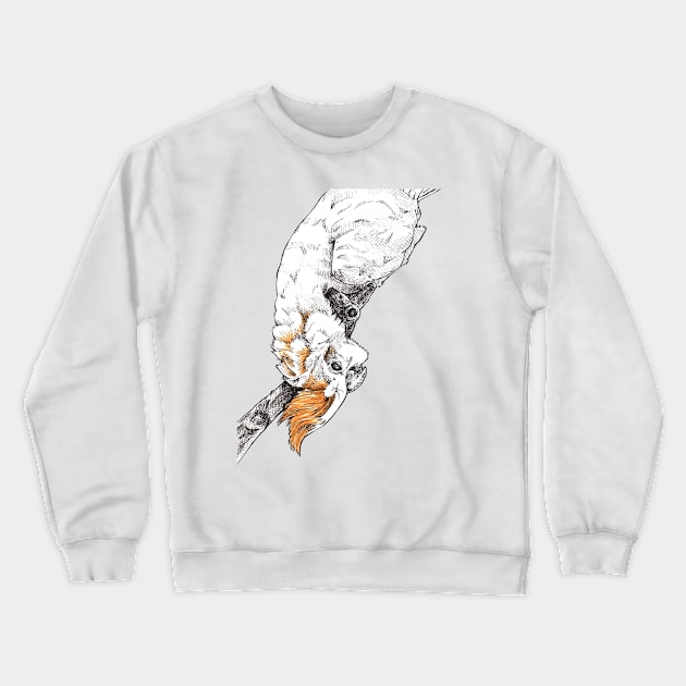 Hello Cockatoo Crewneck Sweatshirt by srw110